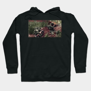 2nd Marine Raiders Hoodie